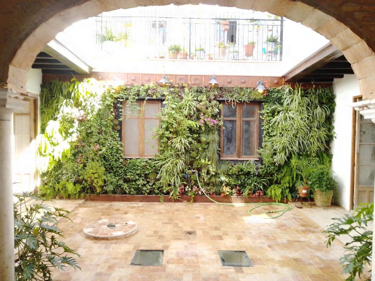 דירות Apartamento Original En Sanlúcar de Barrameda מראה חיצוני תמונה